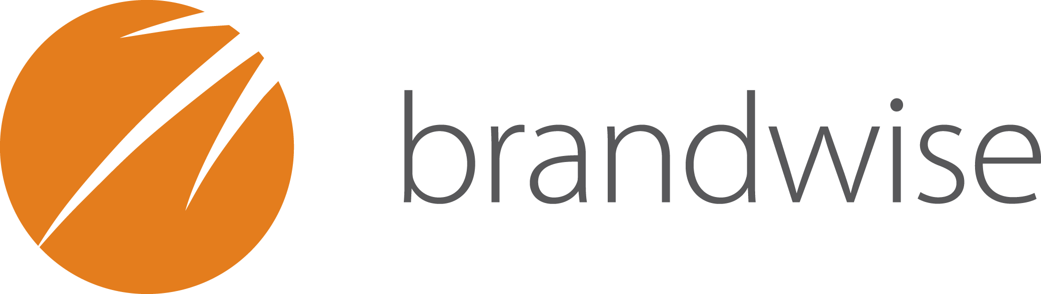 Brandwise_logo_HIGHRES-RGB-on-white (2)